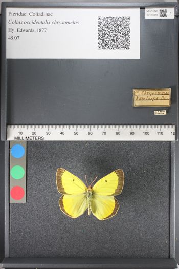 Media type: image;   Entomology 123973